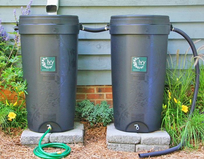 SHARED 2 Rain Barrels